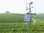 Agricultural Weather Sensors Explained: Basics, Overview, Advice & Useful Resources