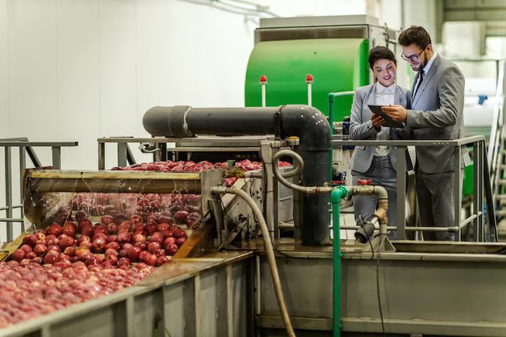 Food Processing Machinery Explained: Importance, Updates, and Industry Standards